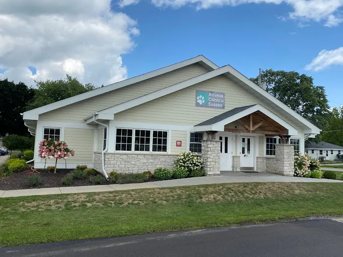 Animal Clinic In Sussex Picture 4