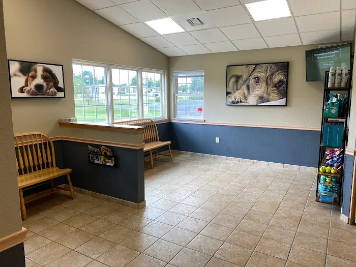 Animal Clinic In Sussex Picture 10