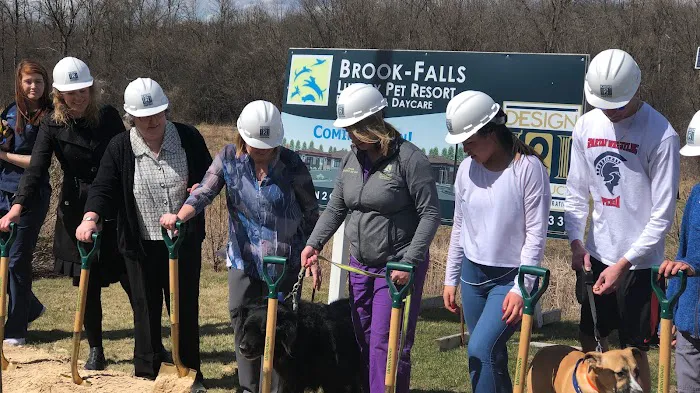 Brook-Falls Veterinary Hospital & Exotic Care Picture 4