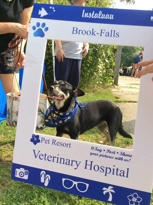 Brook-Falls Veterinary Hospital & Exotic Care Picture 3