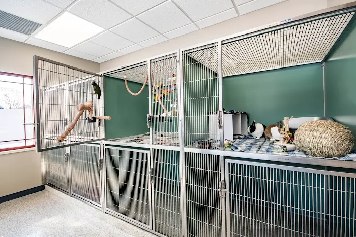 Brook-Falls Veterinary Hospital & Exotic Care Picture 8