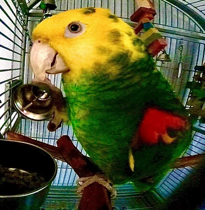 Brook-Falls Veterinary Hospital & Exotic Care Picture 7