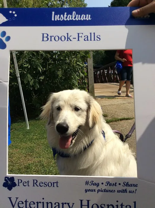 Brook-Falls Veterinary Hospital & Exotic Care Picture 9