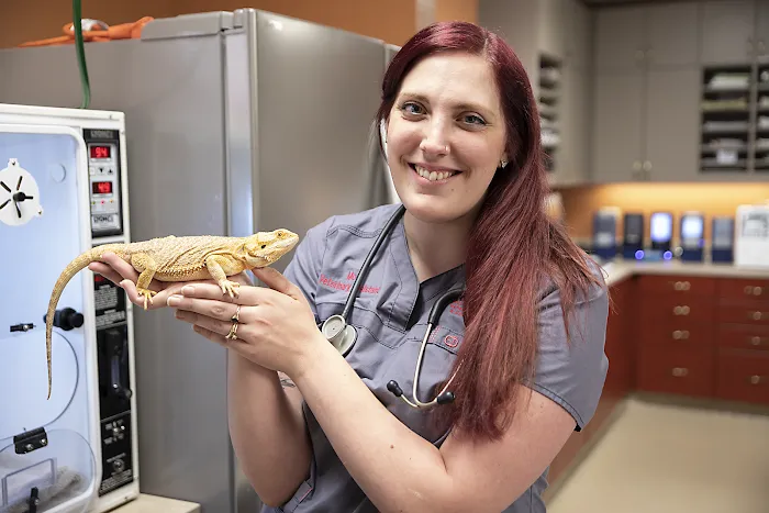 Brook-Falls Veterinary Hospital & Exotic Care Picture 10