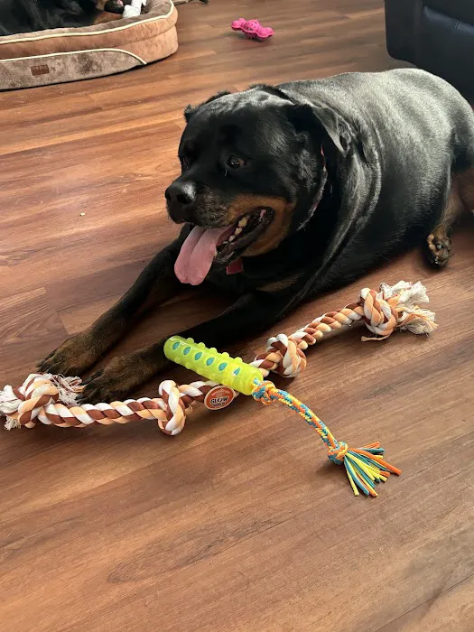 Vetco Vaccination Clinic Picture 2