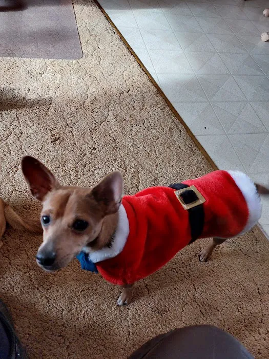 Animal Care Hospital/Clinic Picture 1