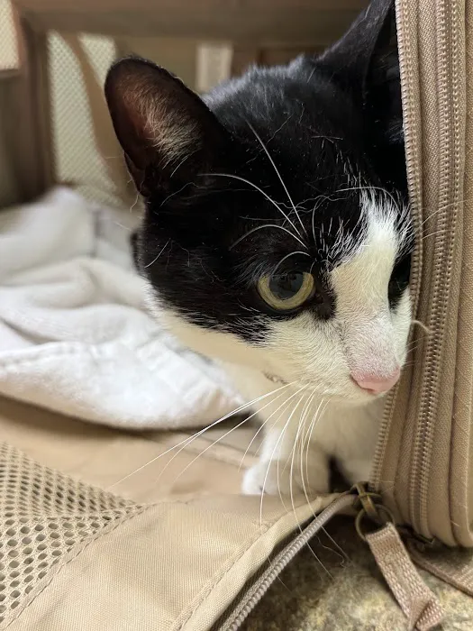 Animal Care Hospital/Clinic Picture 2