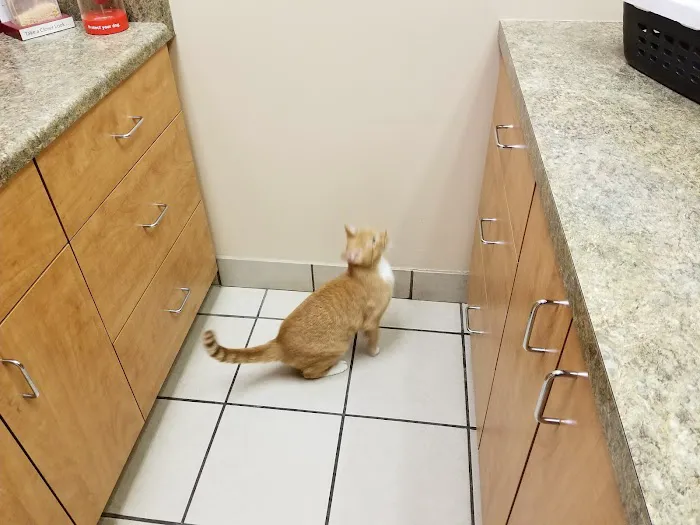 Animal Care Hospital/Clinic Picture 7