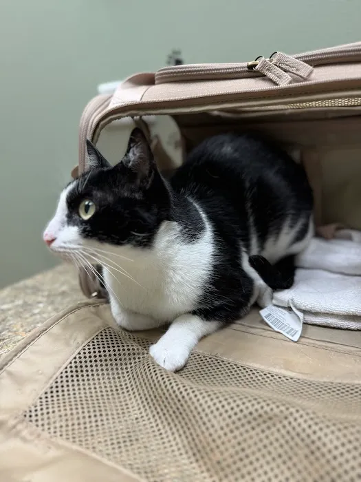 Animal Care Hospital/Clinic Picture 5