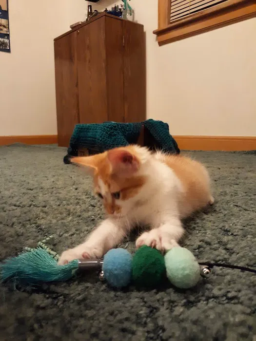 Animal Care Hospital/Clinic Picture 3