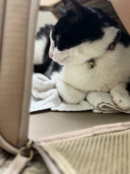 Animal Care Hospital/Clinic Picture 4