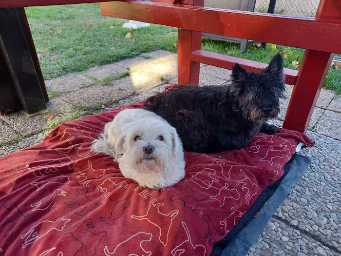 Animal Care Hospital/Clinic Picture 10