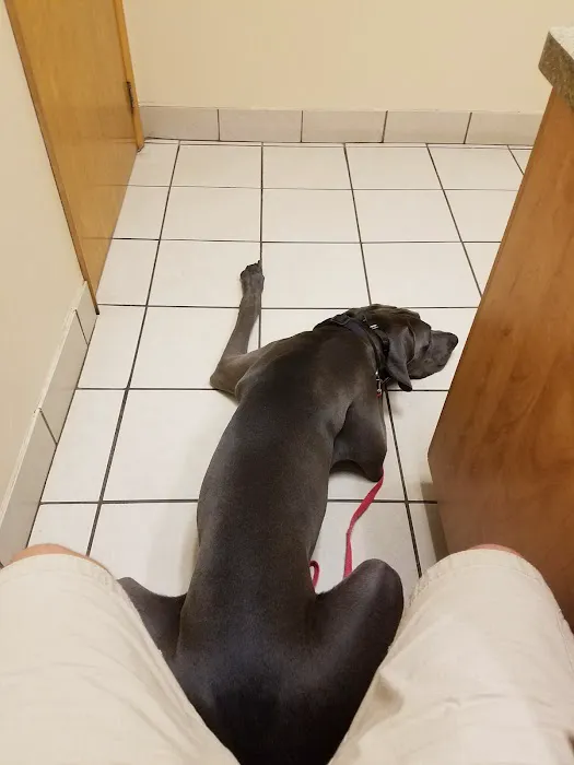 Animal Care Hospital/Clinic Picture 8