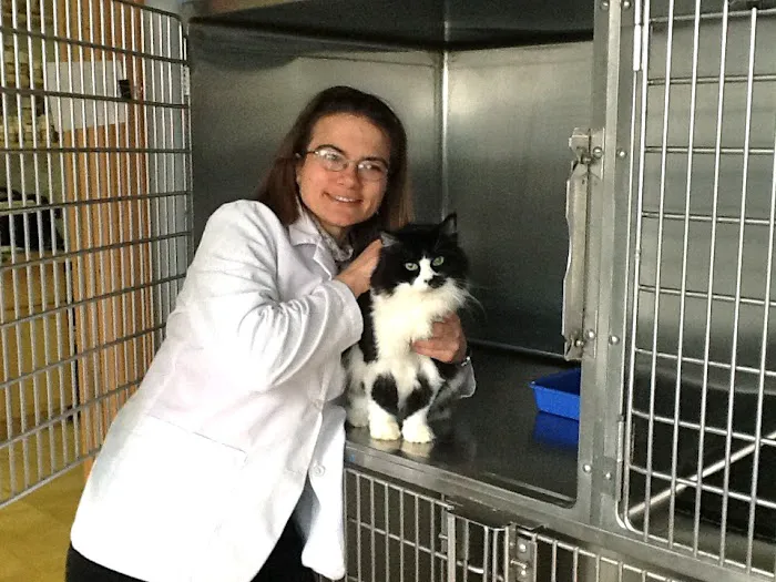 Care Animal Clinic / Hospital Picture 7