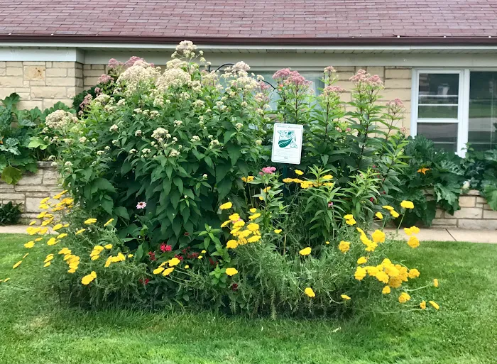 Care Animal Clinic / Hospital Picture 8