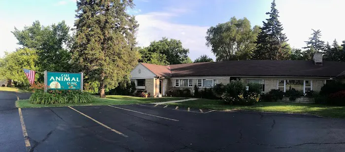 Care Animal Clinic / Hospital Picture 5