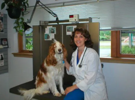 Care Animal Clinic / Hospital Picture 9