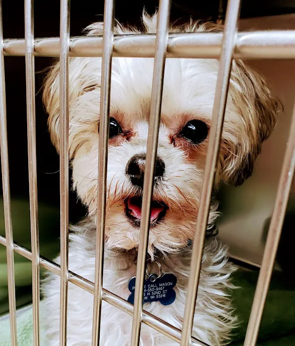 Milwaukee Walk In Vet Clinic Picture 1