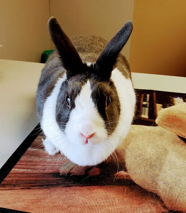 Milwaukee Walk In Vet Clinic Picture 8