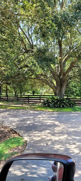 Falconwood Equestrian Falconwood Vet Picture 2