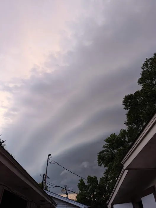 Falconwood Equestrian Falconwood Vet Picture 5