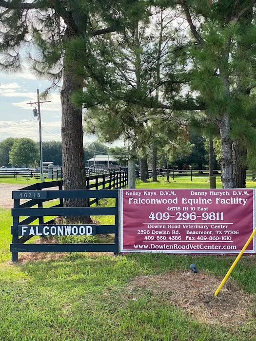 Falconwood Equestrian Falconwood Vet Picture 7
