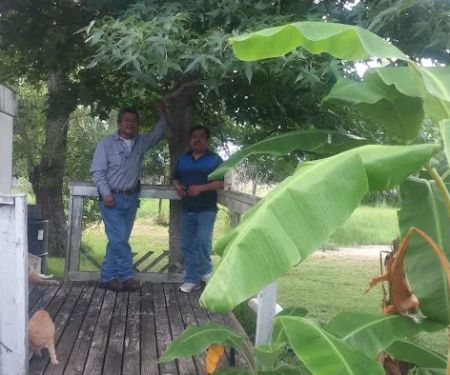 Dr. Harvey Schneiter, DVM - Fannett Veterinary Clinic