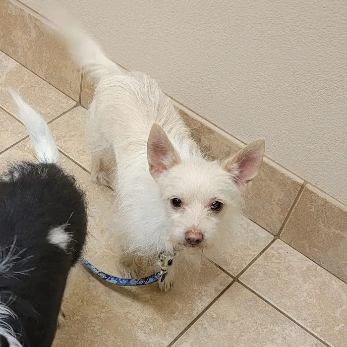 Fannett Veterinary Clinic Picture 4