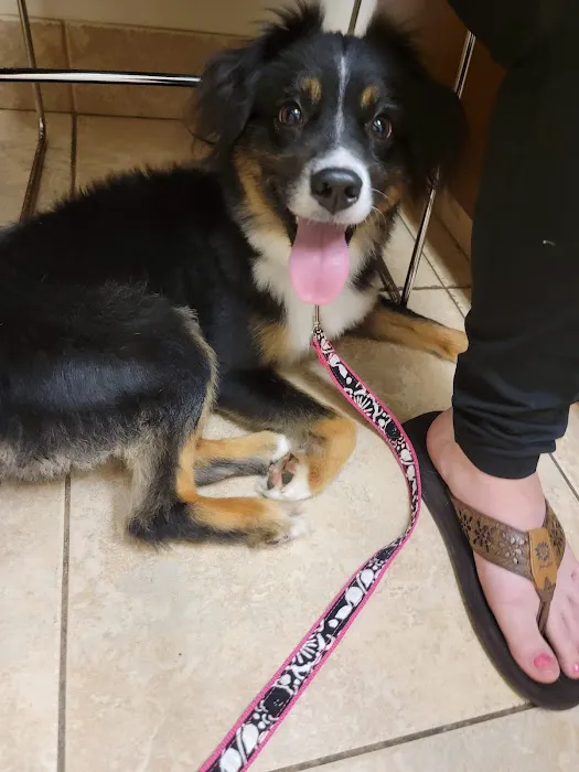 Fannett Veterinary Clinic Picture 2