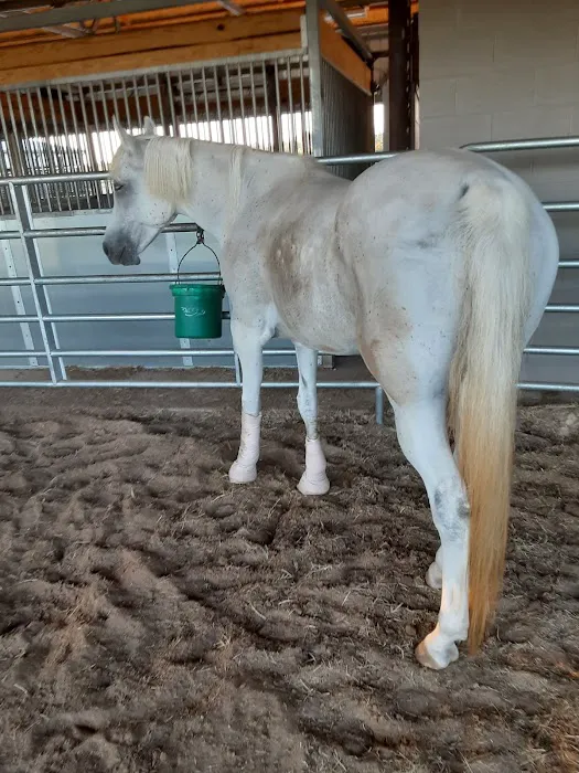 Fannett Veterinary Clinic Picture 6