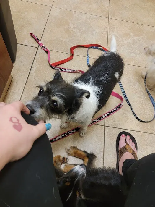 Fannett Veterinary Clinic Picture 5