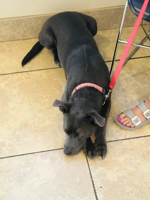 Fannett Veterinary Clinic Picture 3