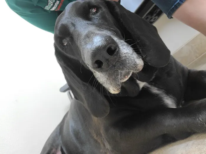 Fannett Veterinary Clinic Picture 7