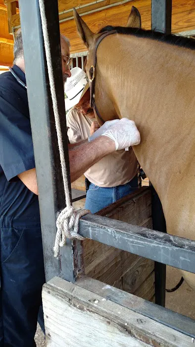 Fannett Veterinary Clinic Picture 10