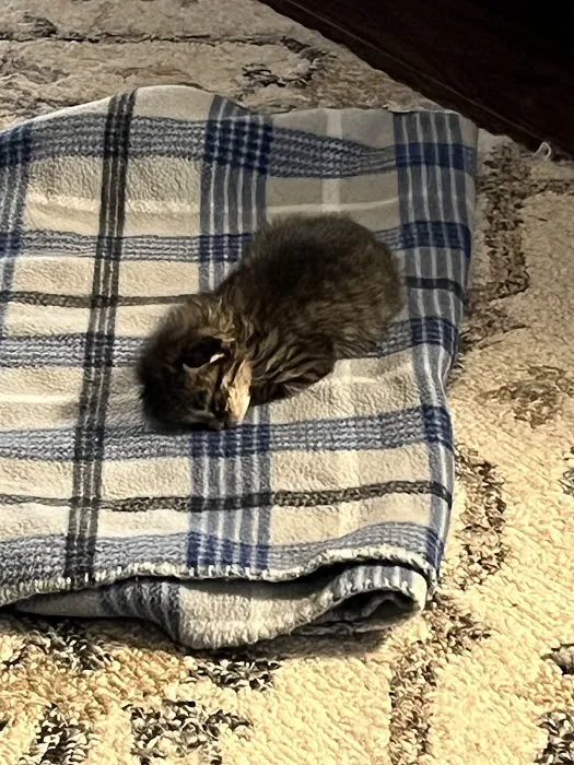 Fannett Veterinary Clinic Picture 9