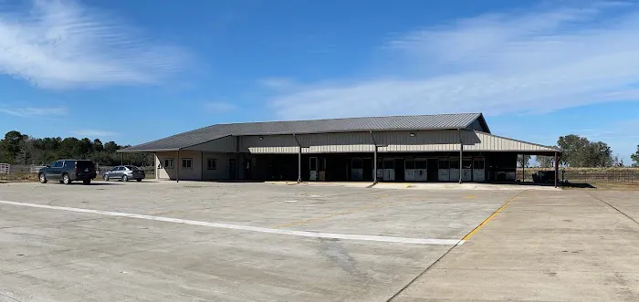 Equine Medicine & Surgery Picture 10