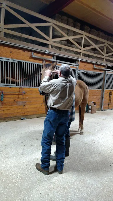 Equine Medicine & Surgery Picture 9