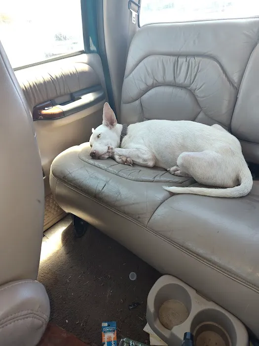 Riceland Veterinary Clinic Picture 3