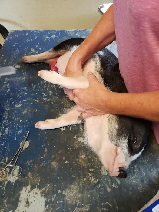 Riceland Veterinary Clinic Picture 1