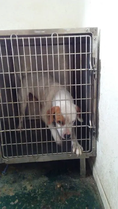 Riceland Veterinary Clinic Picture 2