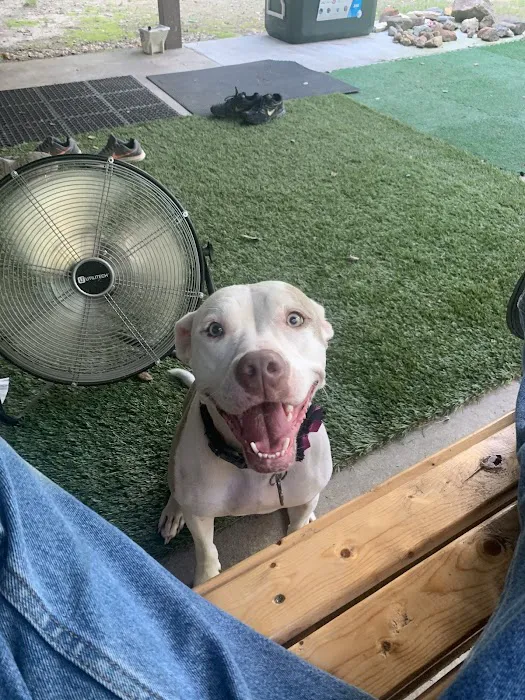 Riceland Veterinary Clinic Picture 5