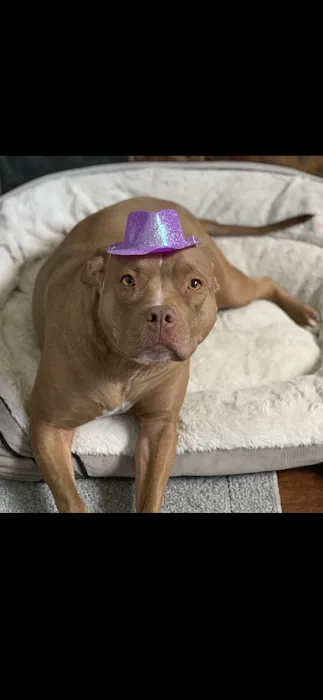 Riceland Veterinary Clinic Picture 8