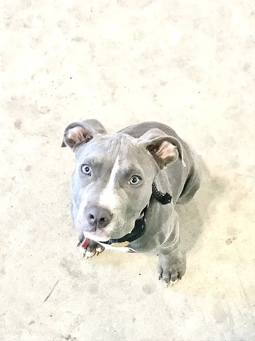 Riceland Veterinary Clinic Picture 10