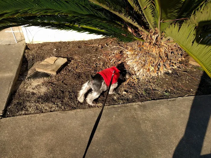 Major Drive Veterinary Clinic Picture 4