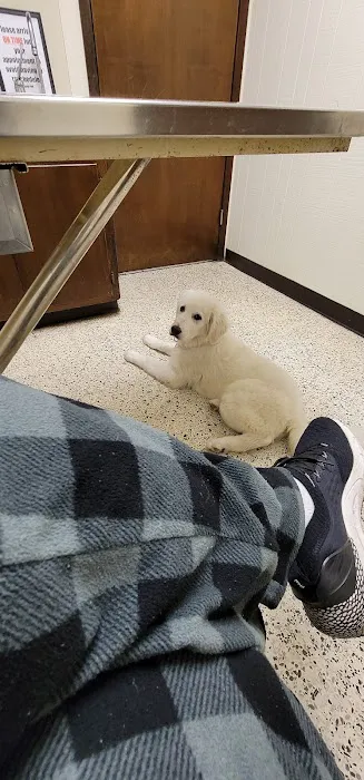 Neighborhood Veterinary Centers - Calder Picture 6