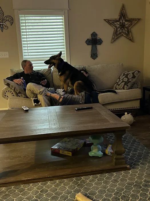 Neighborhood Veterinary Centers - Calder Picture 7