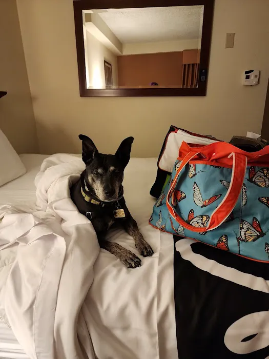 Neighborhood Veterinary Centers - Calder Picture 10