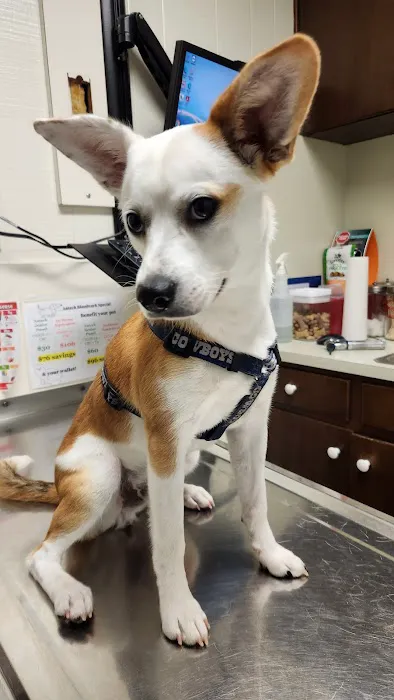 Neighborhood Veterinary Centers - Calder Picture 9