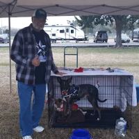 Robertson County Veterinary Services ico