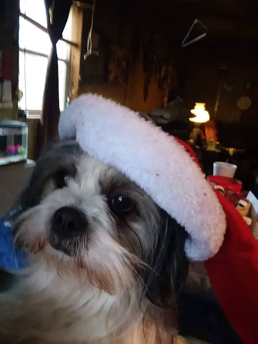 Robertson County Veterinary Services Picture 2